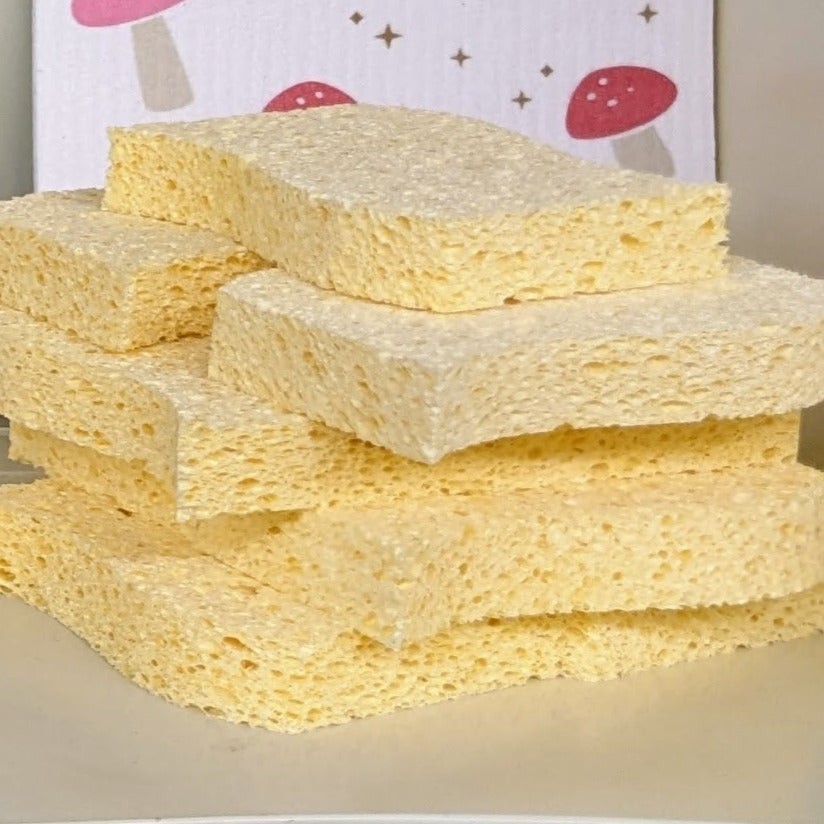 Biodegradable Kitchen Sponges - Zero Waste Sponges, 100% Wood Pulp